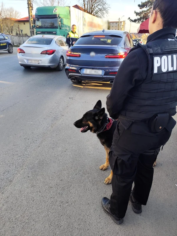 Razie de poliție în Ilfov