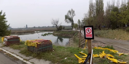 Modernizarea Insulei de Agrement din Bacău