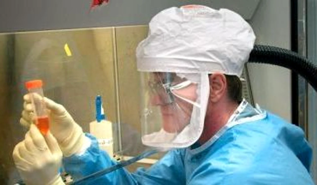 
    Numărul total al îmbolnăvirilor cu virusul A/H1N1 în România a ajuns la 1057  