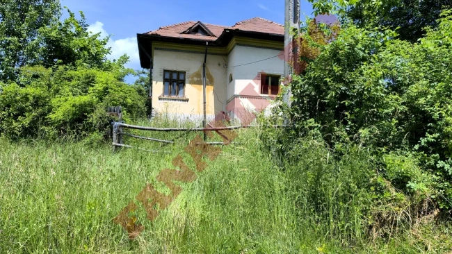 Click.ro galerie imagini