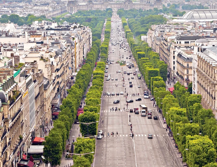 Champs-Élysées- Pomii sunt plantaţi unul lângă celălalt şi sunt tunşi în formă paralelipipedică