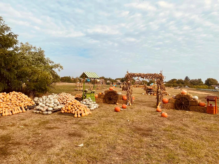 Familia a amenajat locul festivalului FOTO Familia Hodi