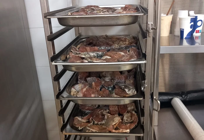 Mâncare expirată în restaurantele de pe litoral FOTO: ANPC