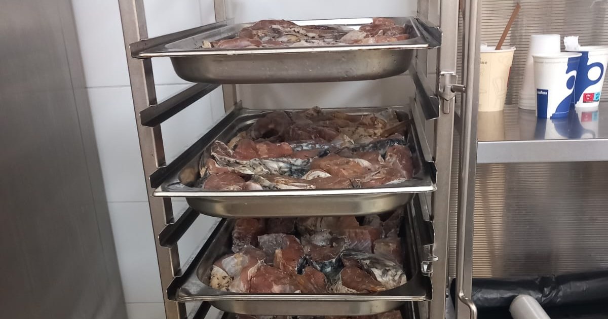 Restaurantele de pe litoralul românesc, închise pentru mâncare expirată și igienă precară Restaurantele de pe litoralul românesc, închise pentru mâncare expirată și igienă precară