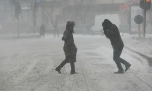 CLIIMA20140201 0016 1 jpeg