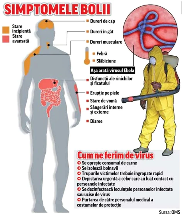
    Potrivit bilanţului întocmit la 23 octombrie, au fost declarate 10.141 de cazuri de la începutul epidemieiFoto: Hepta  