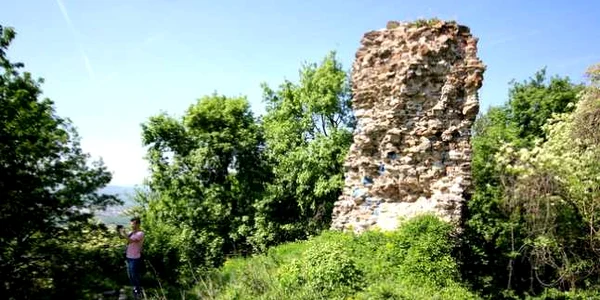 cetatea regala a hategului foto daniel guta adevarul