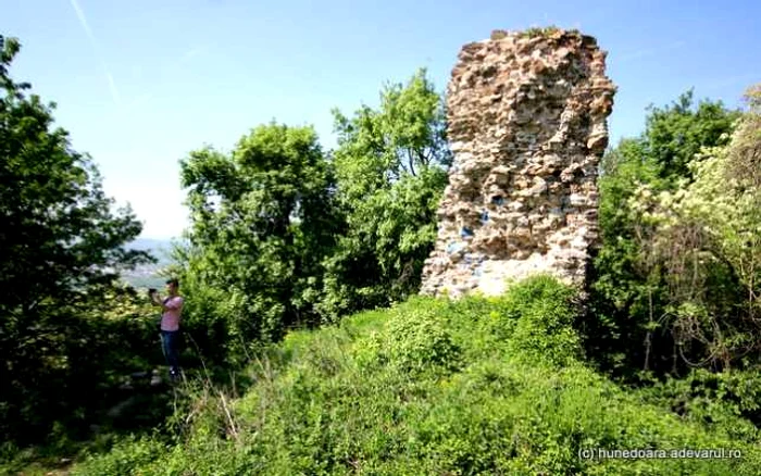 Cetatea regală a Haţegului. FOTO: Daniel Guţă. ADEVĂRUL.