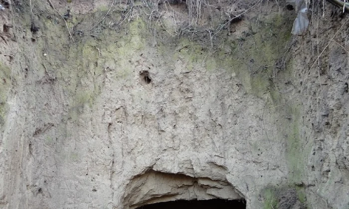 cetatea Tamasidava 05 jpg