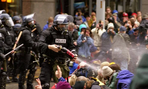 Dinamica generaţională a violenţei jpeg