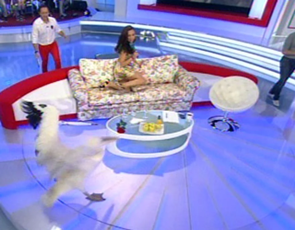 Andra (Foto: Pro tv)