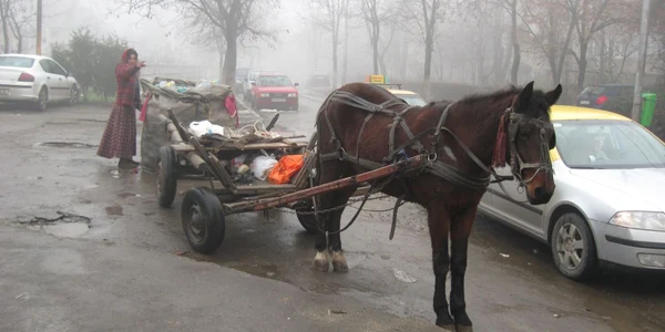 În Ploieşti, ca la ţară