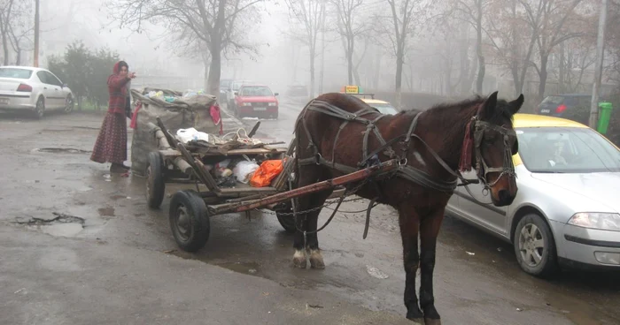 În Ploieşti, ca la ţară