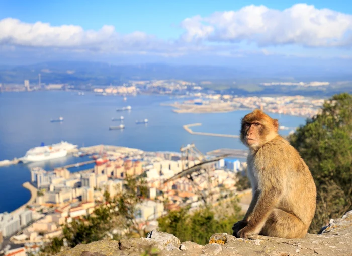 malaga foto shutterstock