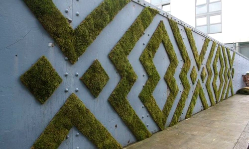 1 71597 original jpg jpeg