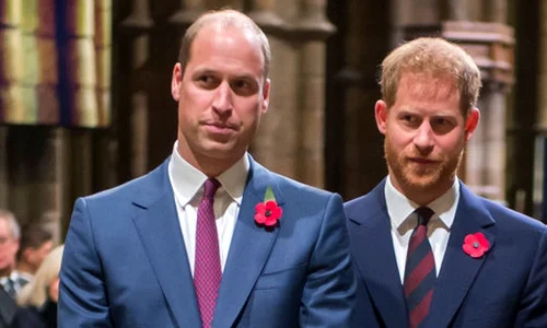 printii william harry jpeg