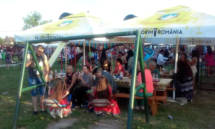 
    Petrecerea de la Zilele comunei Chevereşu MareFoto: renasterea.ro  