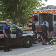 New Lenox Police Department FB jpg