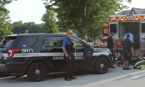 New Lenox Police Department FB jpg