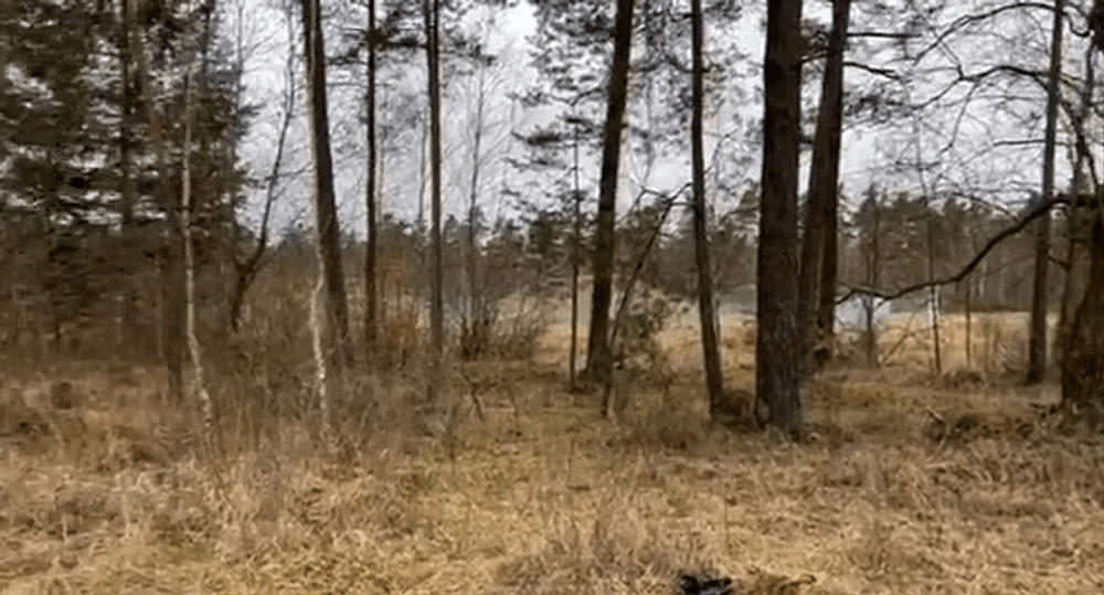 Câți soldați sunt în imagine? Camuflaj ridicat la rang de artă de ucraineni VIDEO 