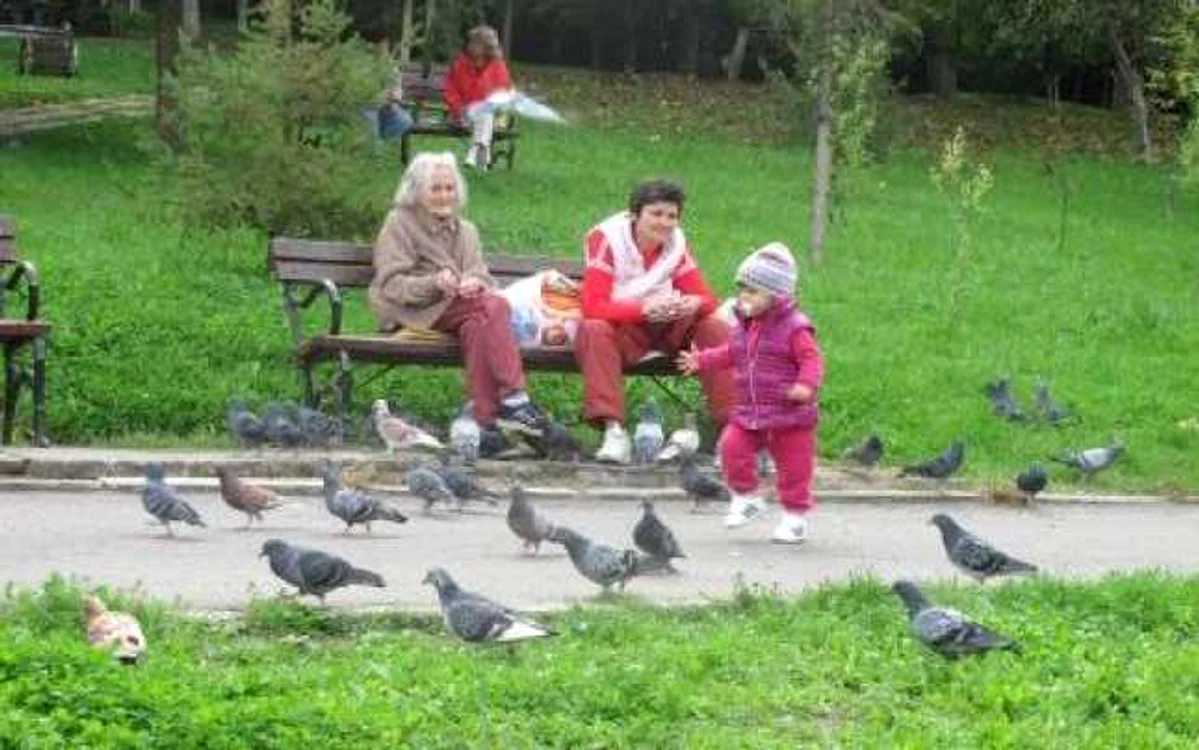 În parc vor fi montate bănci noi