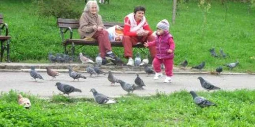 În parc vor fi montate bănci noi