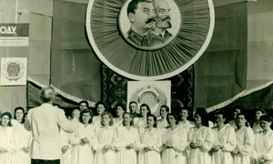 p 7 jpg