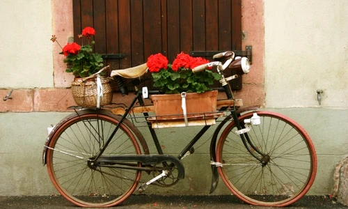 1 65551 original jpg jpeg