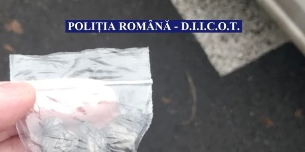 calarasi droguri