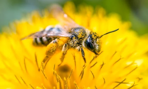 1 shutterstock 1729117612 jpg jpeg