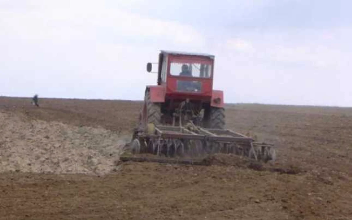 Lipsa zăpezii va afecta culturile susţin agricultorii din Dolj Foto:Arhiva