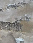 Înmormântarea în masă a 79 de prizonieri de la Phaleron (© Hellenic Ministry of Culture and Sports. Ephorate of Antiquities of Piraeus and Islands / Faliron Delta Excavation Archive)