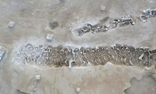 Înmormântarea în masă a 79 de prizonieri de la Phaleron (© Hellenic Ministry of Culture and Sports. Ephorate of Antiquities of Piraeus and Islands / Faliron Delta Excavation Archive)