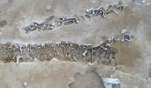 Înmormântarea în masă a 79 de prizonieri de la Phaleron (© Hel­lenic Min­istry of Cul­ture and Sports. Ephor­ate of An­tiq­ui­ties of Piraeus and Is­lands / Faliron Delta Excavation Archive)