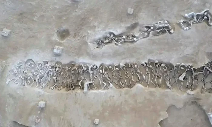 Înmormântarea în masă a 79 de prizonieri de la Phaleron (© Hel­lenic Min­istry of Cul­ture and Sports. Ephor­ate of An­tiq­ui­ties of Piraeus and Is­lands / Faliron Delta Excavation Archive)