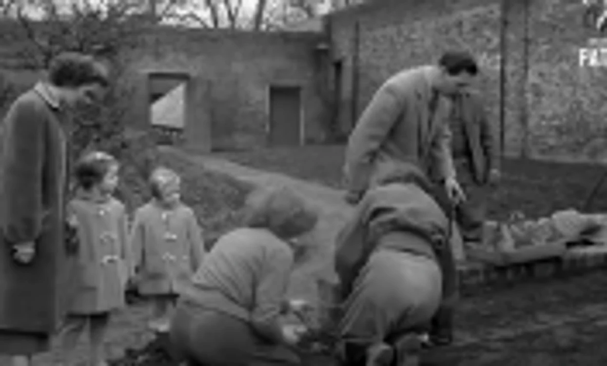 Regele Mihai grădinar în Anglia Sursa British Pathe