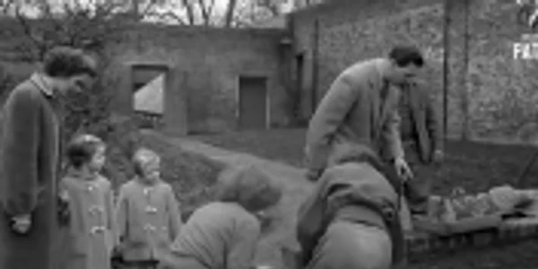 Regele Mihai grădinar în Anglia Sursa British Pathe