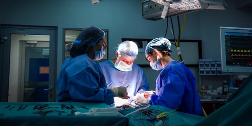 Dr  Dan Nica interventie 4 jpg
