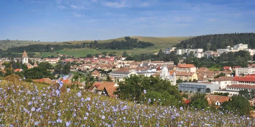 site 2 ianuarie valea hartibaciului foto cj sibiu jpg
