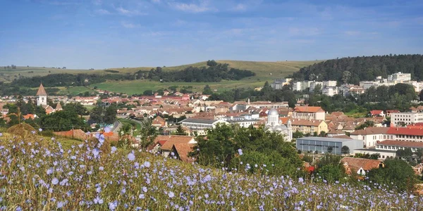 site 2 ianuarie valea hartibaciului foto cj sibiu jpg