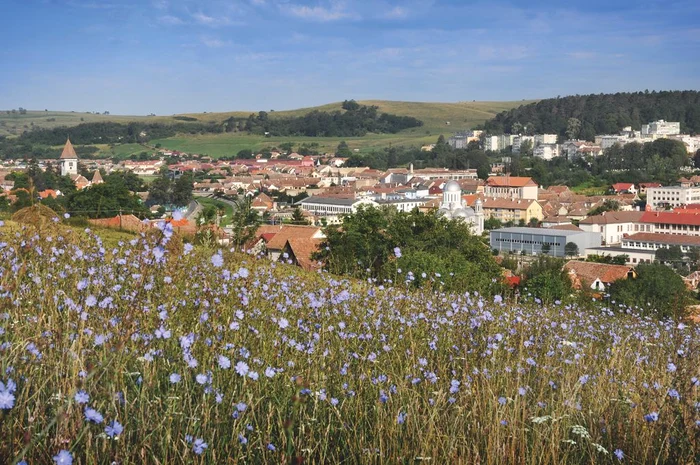 Valea Hârtibaciului, un colț de Rai FOTO Consiliul Județean Sibiu