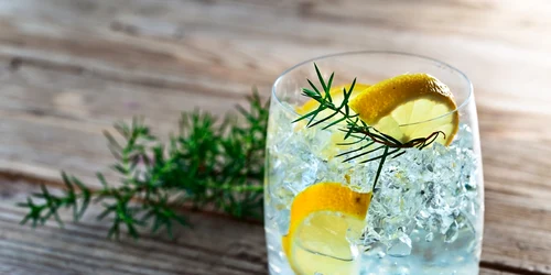 gin pahar bautura alcoolica foto shutterstock