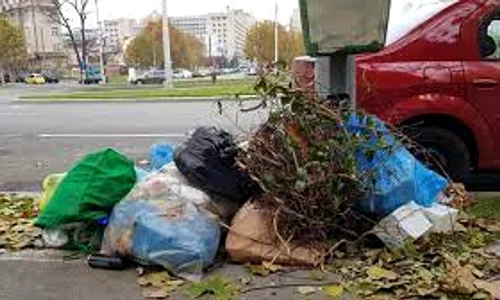 Adina Halas (39 de ani): ”Masca mea favorită conţine avocado, argilă şi gălbenuş de ou  E potrivită tuturor tipurilor de ten” jpeg
