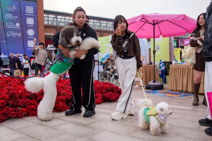 Stăpânii și blănoșii lor au participat la expoziții și au avut ocazia să cumpere produse destinate