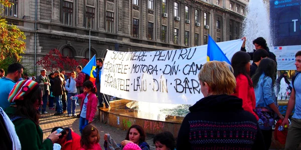 protest rosia montana