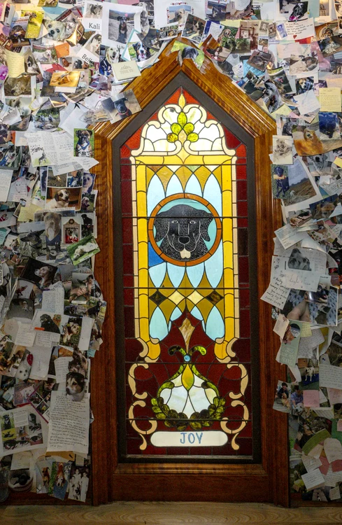 Chiar și vitraliile au motive canine (Foto: Profimedia)