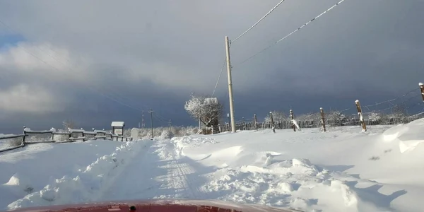 vreme rea