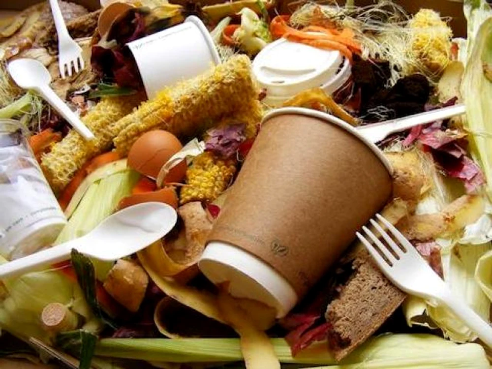 De Sărbători, românii au aruncat alimente la tomberon