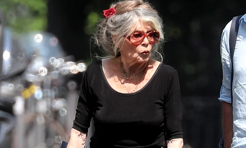 Exclusif   No Web No Blog   Brigitte Bardot se rend à sa fondation à Paris jpeg