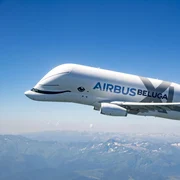 Beluga XL Foto